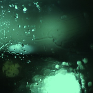 火影忍者同人做爱在线看
